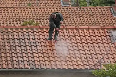 Nettoyage et démoussage de toiture à Camarsac à Camarsac